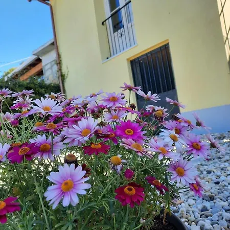 Ca Di Bollo Frühstückspension 3*