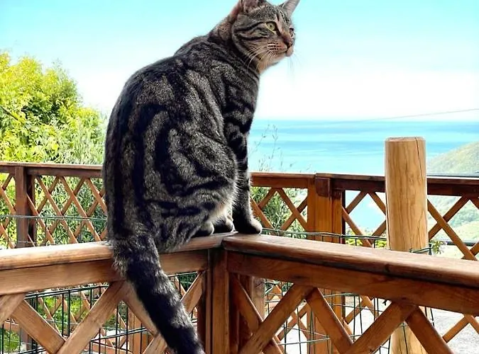 Cà Di Bollo Couette-café