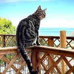 Ca Di Bollo Bed & Breakfast
