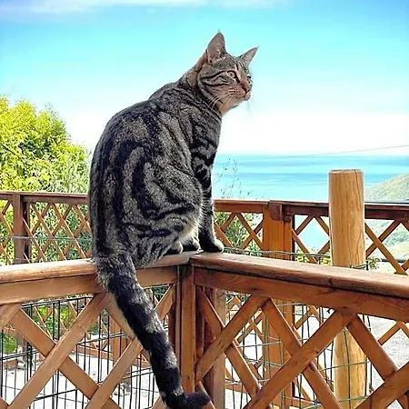 Ca Di Bollo Oda ve Kahvaltı